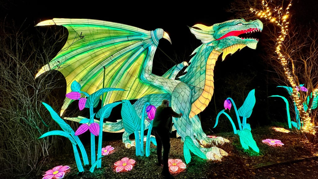 Probeleuchten klappt: Die Magischen Lichterwelten im Bergzoo Halle können beginnen.