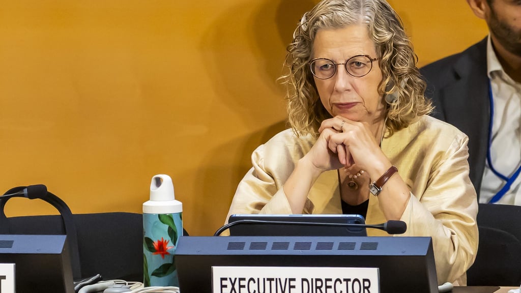 Inger Andersen, Exekutivdirektorin des UN-Umweltprogramms, stellte den globalen Umweltausblick vor. (Archivbild)