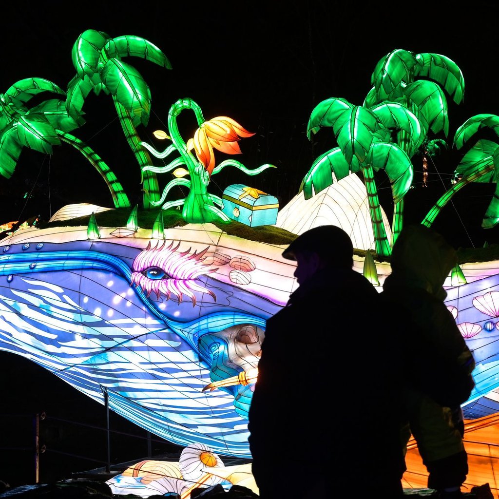 «Magische Lichterwelten» gibt es auch in Halle zu bewundern. Für viele Kinder gehört der riesige beleuchtete Wal zu den Highlights. Die neuen Lichtinstallationen sind vom 12. Dezember bis 1. März zu sehen.&nbsp;