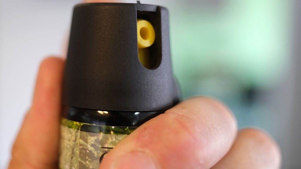 Unbekannte haben an einer Bremer Schule Reizgas versprüht. (Symbolbild)