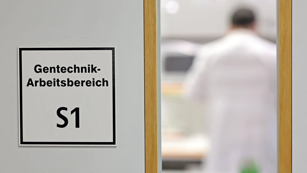 In den Laboren des Leibniz-Instituts IPK in Gatersleben wird mit modernen Gentechnik-Methoden gearbeitet. 