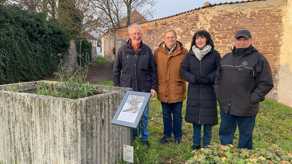 Henning Bollmann, Hartmut Henkel, Viktoria Veil und Werner Hasenkrug (v. l.) haben die siebte Erinnerungstafel in Alt-Olvenstedt aufgestellt.
