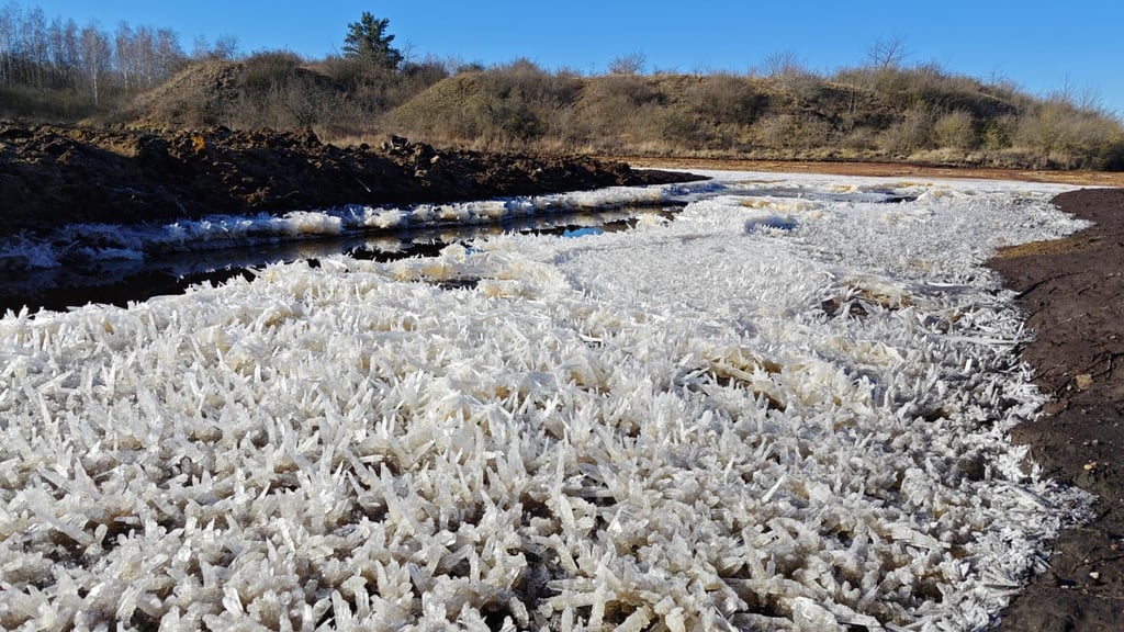 Andreas Tautrim hat ein Flächendenkmal bei Teutschenthal im Saalekreis gekauft. Das will er nun öffentlich zugänglich machen.