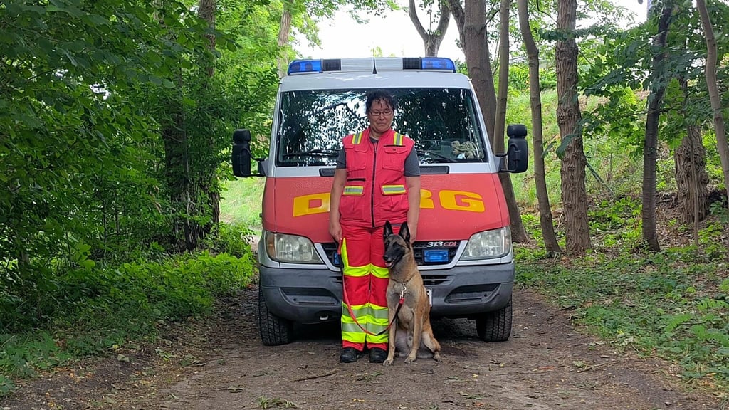 Rettungshund Buddy aus dem Saalekreis ist schwer erkrankt. Bei dem siebenjährigen Hund wurde Lungenkrebs festgestellt.