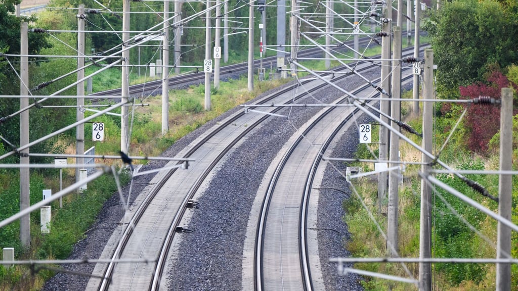 Ein Marder hat den Bahnverkehr zwischen Magdeburg und Dessau nahezu lahmgelegt. (Symbolbild)