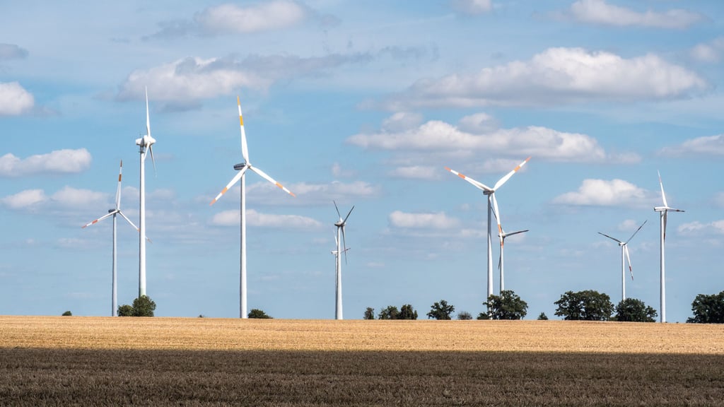 Für einen Windpark bei Havelberg haben Planer und Artenschützer einen Kompromiss ausgehandelt.