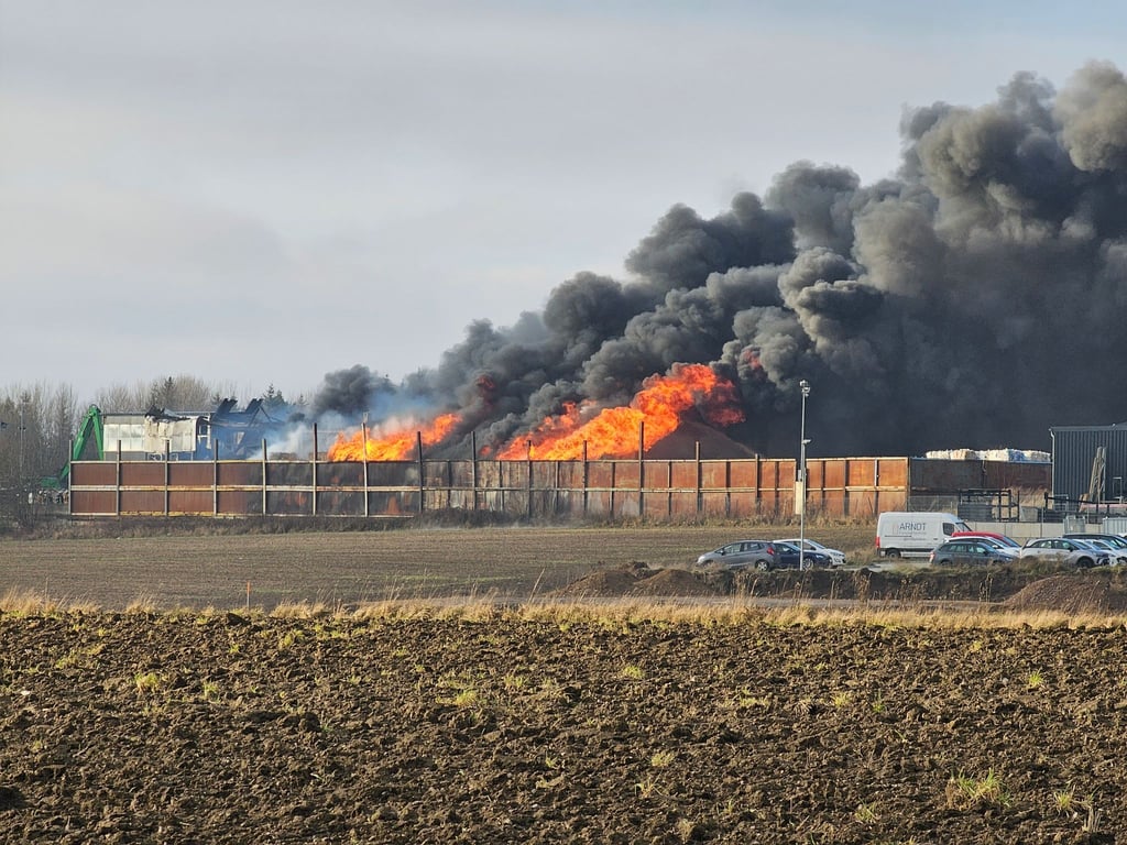 Die Ermittler schätzen den Schaden durch das Feuer in Gattendorf (Landkreis Hof) auf rund vier Millionen Euro. (Archivbild)