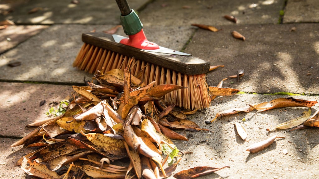 Der Gemeinderat der Selke-Aue hat sich mit seiner Satzung über die Straßenreinigung befasst. 