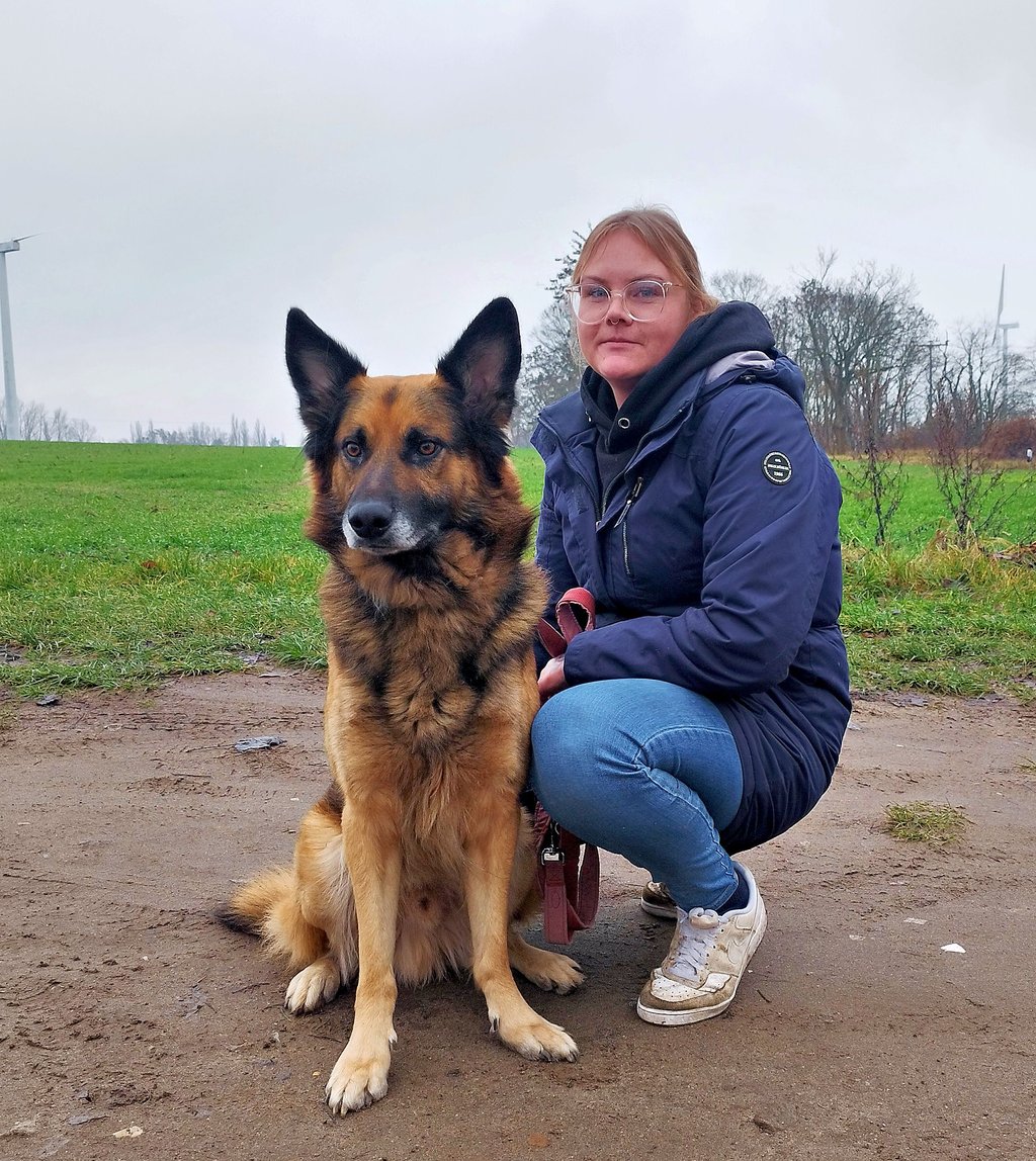 Der Schäferhund Taro ist immer noch im Tierheim Gardelegen und hofft auf eine Abholung. Hier sitzt er brav neben der Tierheim-Mitarbeiterin Lena Peters. 