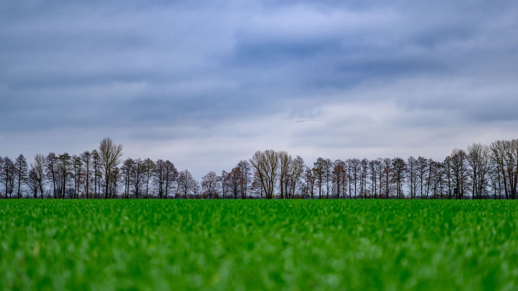 Viele Wolken ziehen in den kommenden Tagen über Berlin und Brandenburg. (Symbolbild)