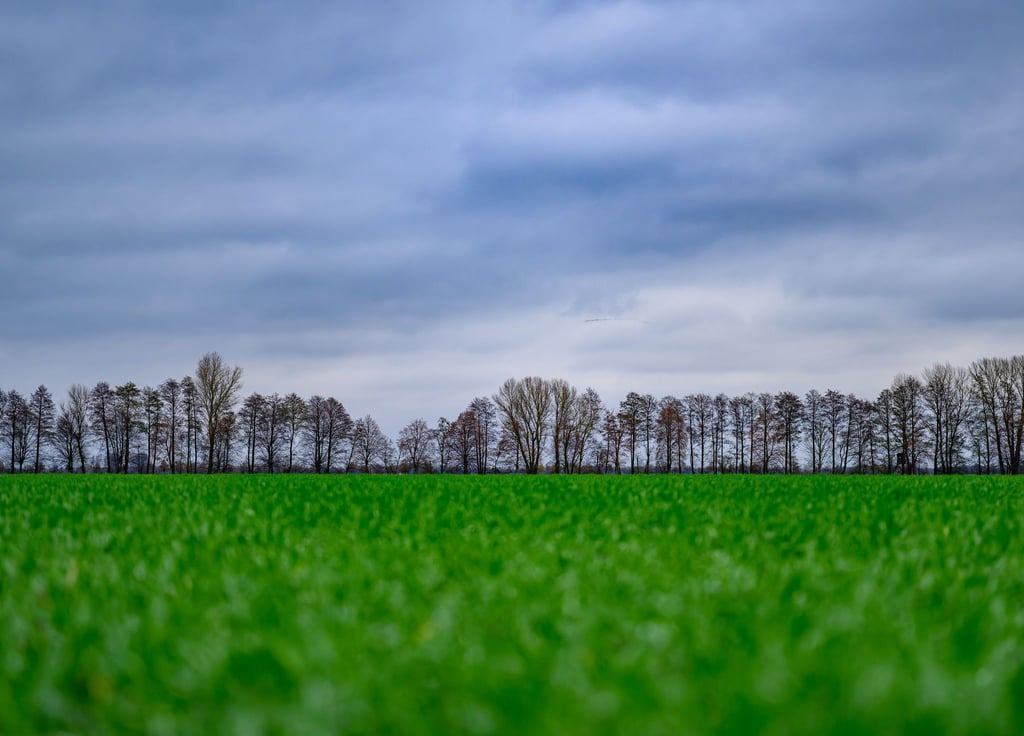 Viele Wolken ziehen in den kommenden Tagen über Berlin und Brandenburg. (Symbolbild)