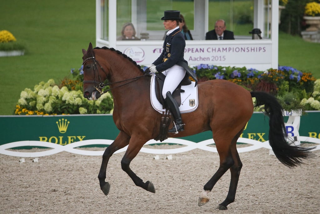 Isabell Werths Pferd Don Johnson, hier bei der EM 2015 in Aachen, ist tot. (Archivbild)