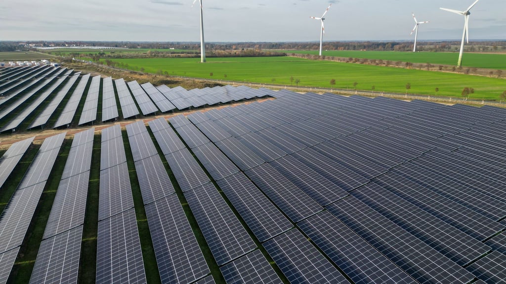Erneuerbare Energien werden in diesem Jahr laut einer Hochrechnung knapp 56 Prozent des Stromverbrauchs decken. (Symbolbild)