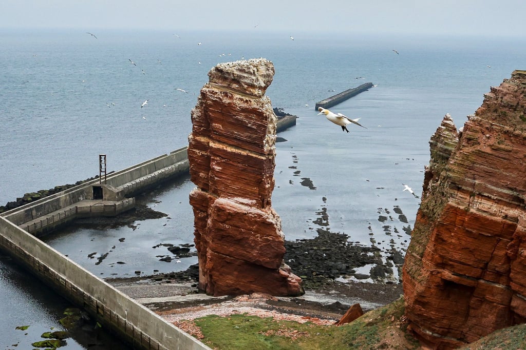 Mit einer Genossenschaft wollen die Helgoländer ihren Bäckerei retten (Archivbild).