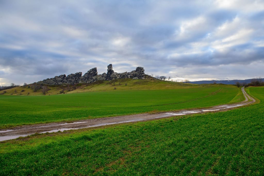 In Sachsen-Anhalt wird das Wetter mild, aber regnerisch. (Archivbild)