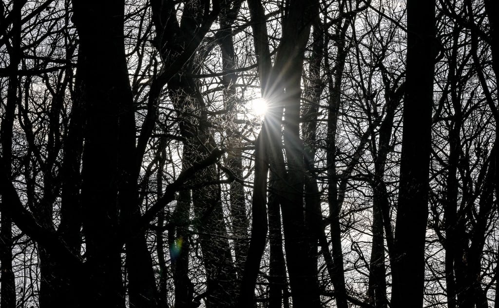In Berlin und Brandenburg bleibt das Wetter mild.