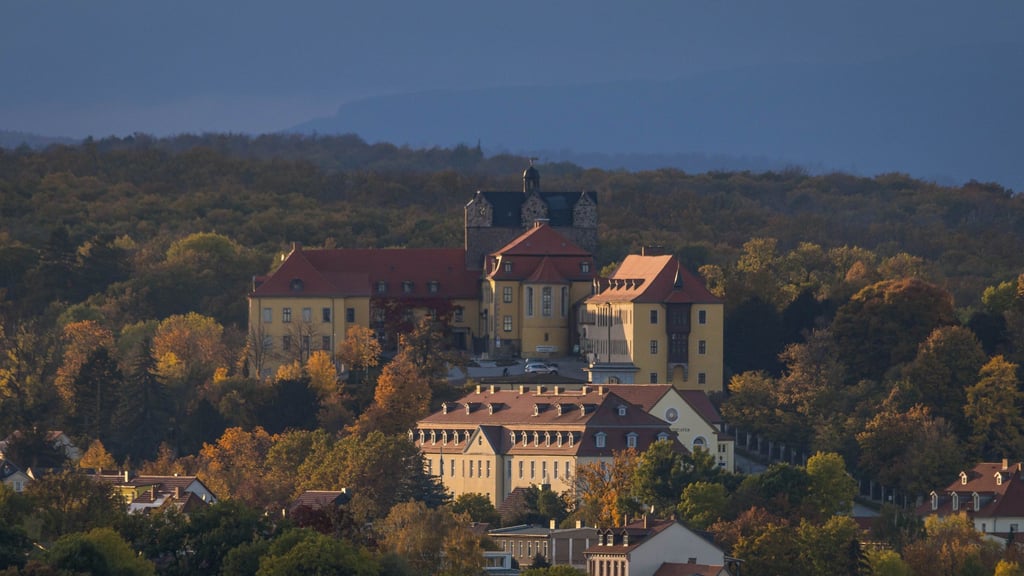 Das Schloss ist der größte Energieverbraucher der Stadt Ballenstedt. Jetzt soll es eine neue Heizung bekommen, um Kosten zu sparen.