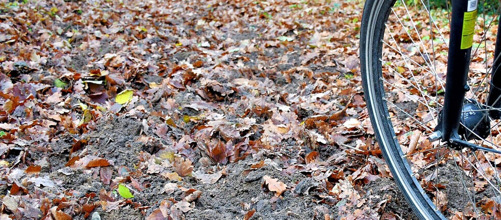 Der Weg zwischen Grünfläche (Litfaßsäule) und der Badestelle Quelle ist teilweise kaum noch zu erkennen. 