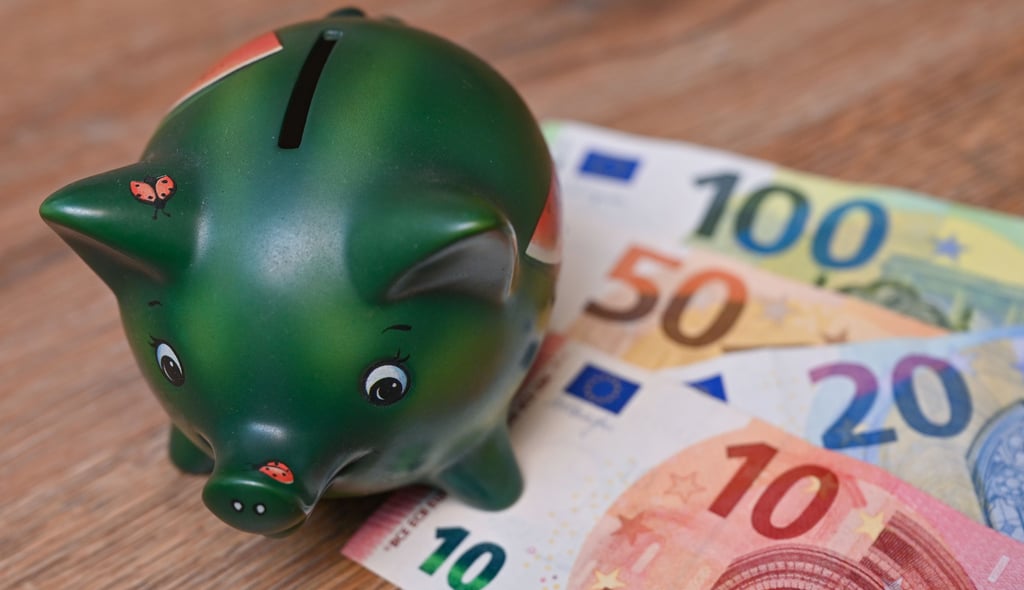 Die Stadt Bernburg muss in den nächsten Jahren ihr Sparschwein plündern.