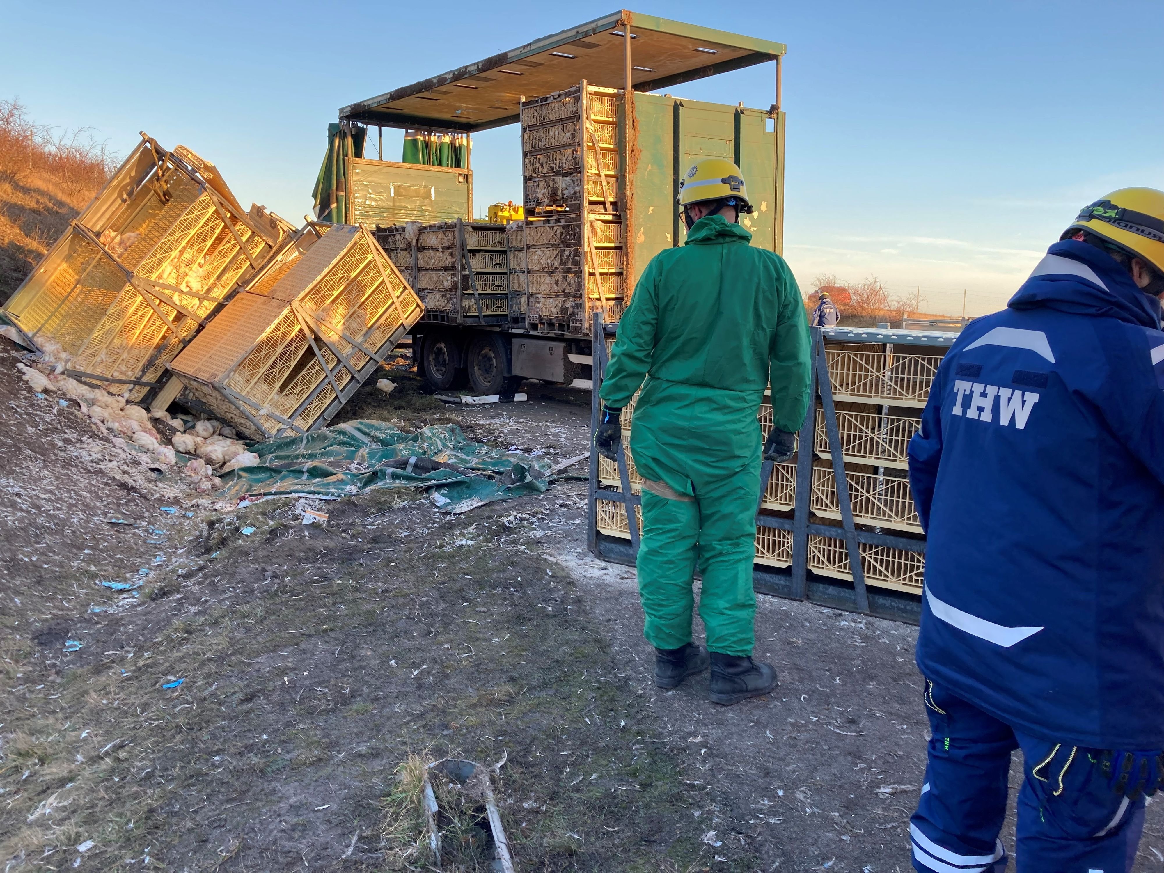 Vollsperrung nahe Quedlinburg: Hühner sorgen für Chaos auf A36! Tausende Tiere verenden bei Lkw-Unfall