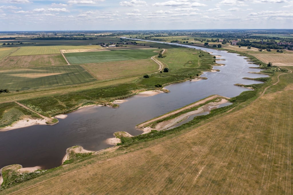 Blick auf die Elbe zwischen Bösewig und Klöden. (Archivbild)