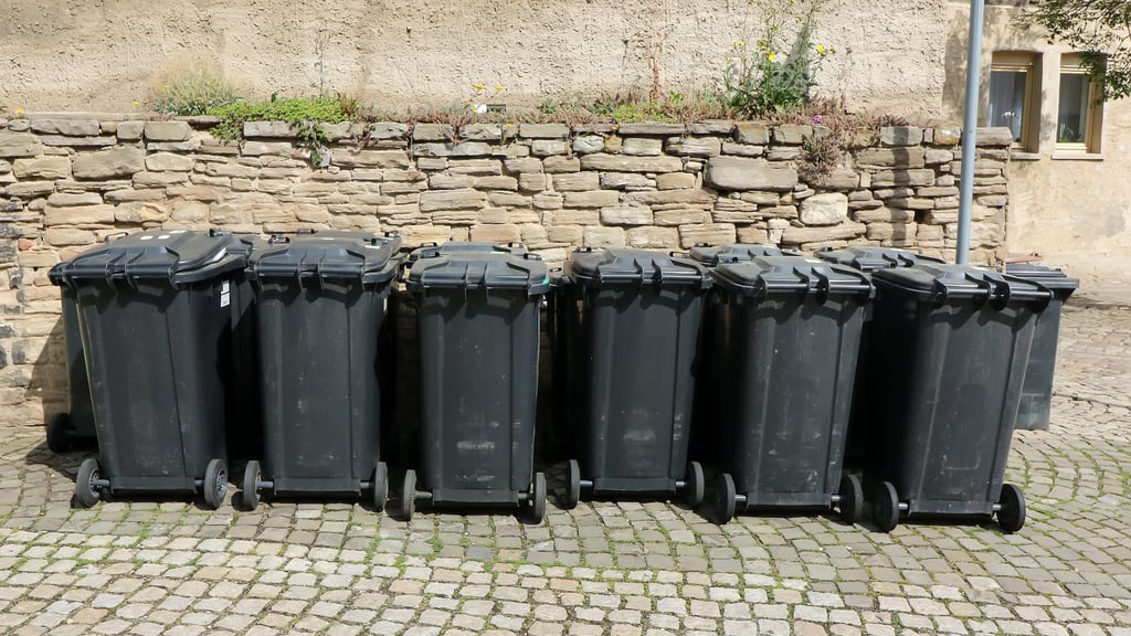 Mülltonnen stehen in Sangerhausen für die Abholung bereit.