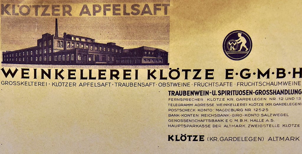 Der Briefbogen zeigt, zu welch großem Unternehmen die Weinkellerei in den 1920er Jahren gewachsen war. Möglich wurde das, weil die Genossenschaftler anfangs unter großen persönlichen Opfern gewirtschaftet und sich uneigennützig in den Dienst des Unternehmens gestellt hatten. 