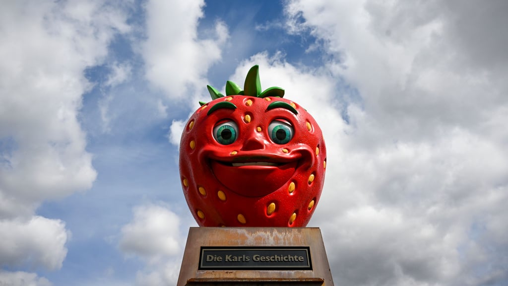 Wernigerode im Erdbeerfieber: In der Harzstadt entsteht ein neues Karls Erlebnis-Dorf. Am Donnerstag wurden die Pläne endlich offiziell vorgestellt. Bis zur Eröffnung wird es aber noch ein Weilchen dauern.