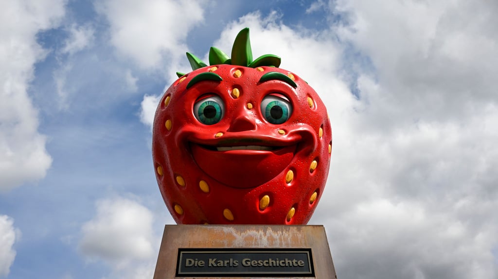 Wernigerode im Erdbeerfieber: In der Harzstadt entsteht ein neues Karls Erlebnis-Dorf.