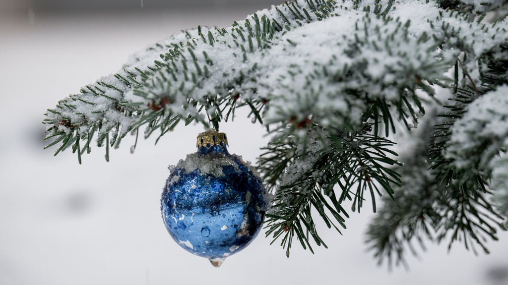 Viele Menschen wünschen sich verschneite Feiertage. So schätzt der Deutsche Wetterdienst (DWD) die Chancen für Sachen-Anhalt ein.