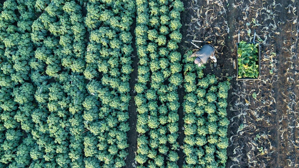 Landwirtschaft: 16,24 Millionen Euro für Sachsens benachteiligte Bauern