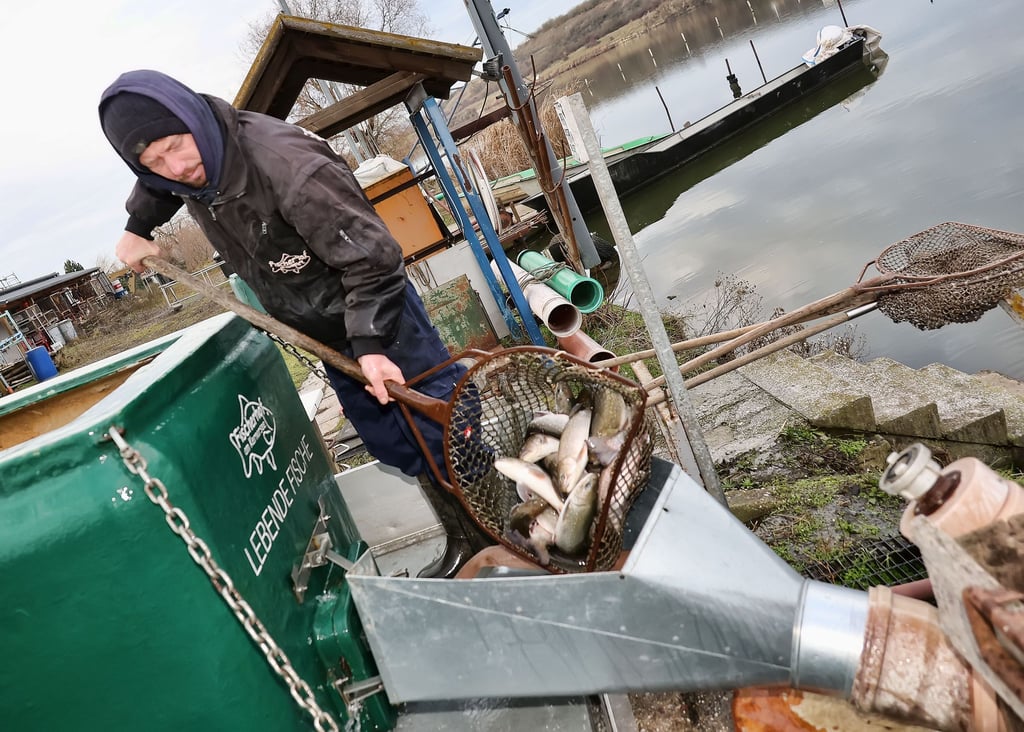 Benjamin Fischer ist schon 20 Jahre am Kerner See. Hier machte er seine Ausbildung und den Meister.