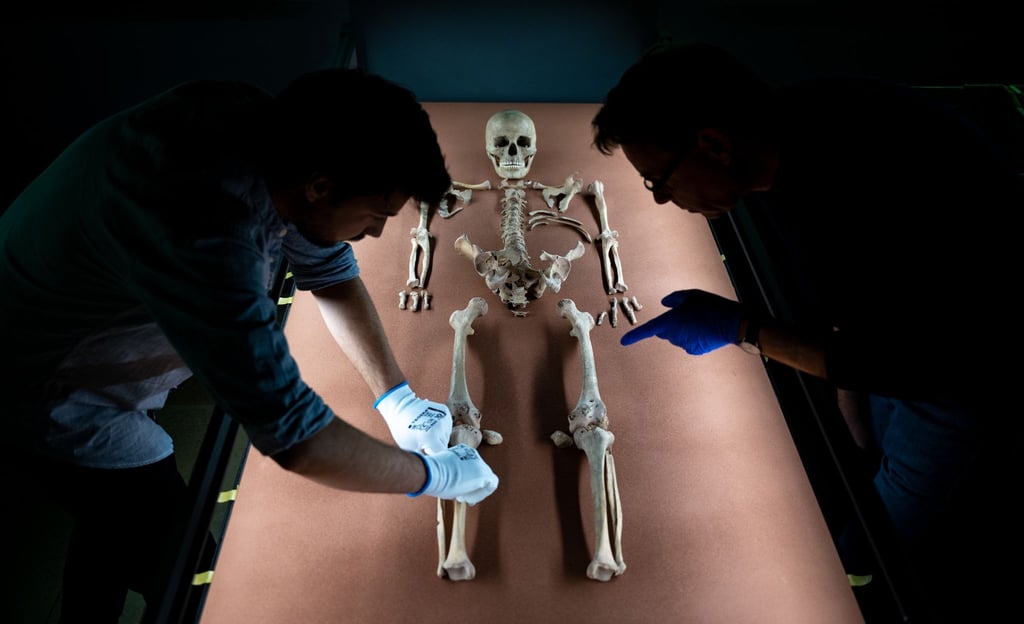 Mitarbeiter des Landesmuseums drapieren die sterblichen Überreste der vor rund 9.000 Jahren gestorbenen Schamanin von Bad Dürrenberg in der Dauerausstellung des Landesmuseums für Vorgeschichte in Halle/Saale. (Archivbild)