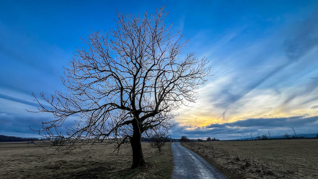 Trotz gebietsweisem Regen und Wolken erwartet Sachsen-Anhalt in den kommenden Tagen milde Temperaturen. Im Harz wird es hingegen windig.