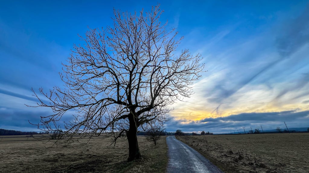 Trotz gebietsweisem Regen und Wolken erwartet Sachsen-Anhalt in den kommenden Tagen milde Temperaturen. Im Harz wird es hingegen windig.