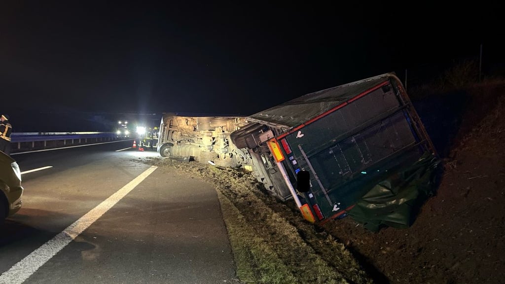 Wegen eines Unfalls auf der A36 bei Quedlinburg laufen derzeit Tausende Hühner auf der Autobahn herum.