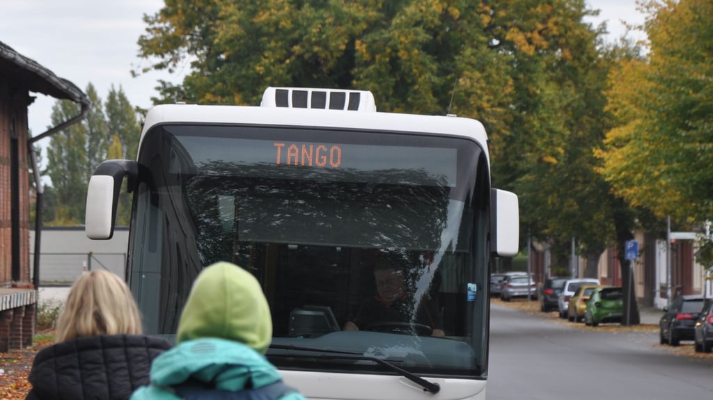 Wer mit einem Tango-Bus fahren möchte, kann ihn eine Stunde vor Abfahrt mit einer App (MyMobi) oder einem Anruf zu sich bestellen. 