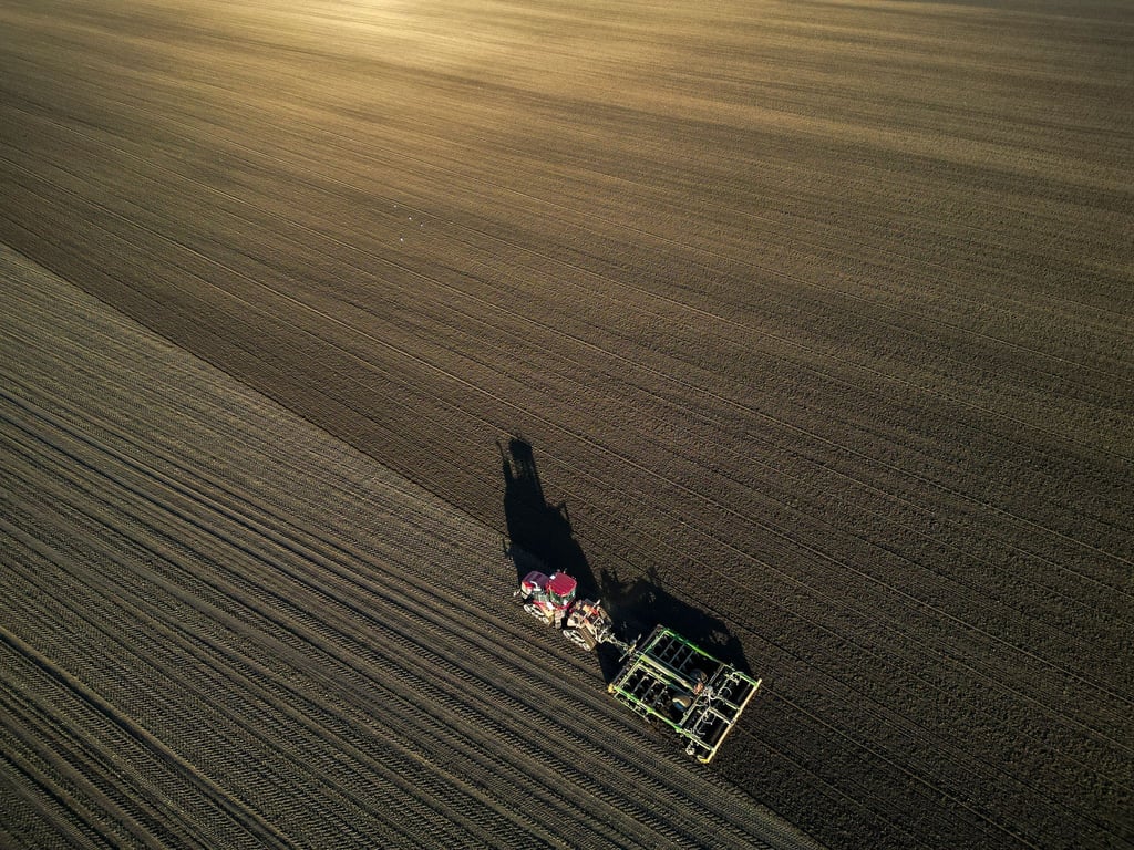 Die Bauern befürchten schwierige Geschäftsbedingungen 2026. (Archivbild)