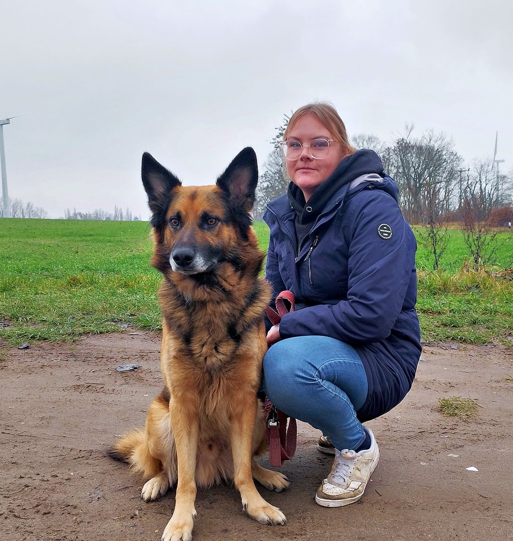 Der Schäferhund Taro ist immer noch im Tierheim Gardelegen und hofft auf eine Abholung. Hier sitzt er brav neben der Tierheim-Mitarbeiterin Lena Peters. 