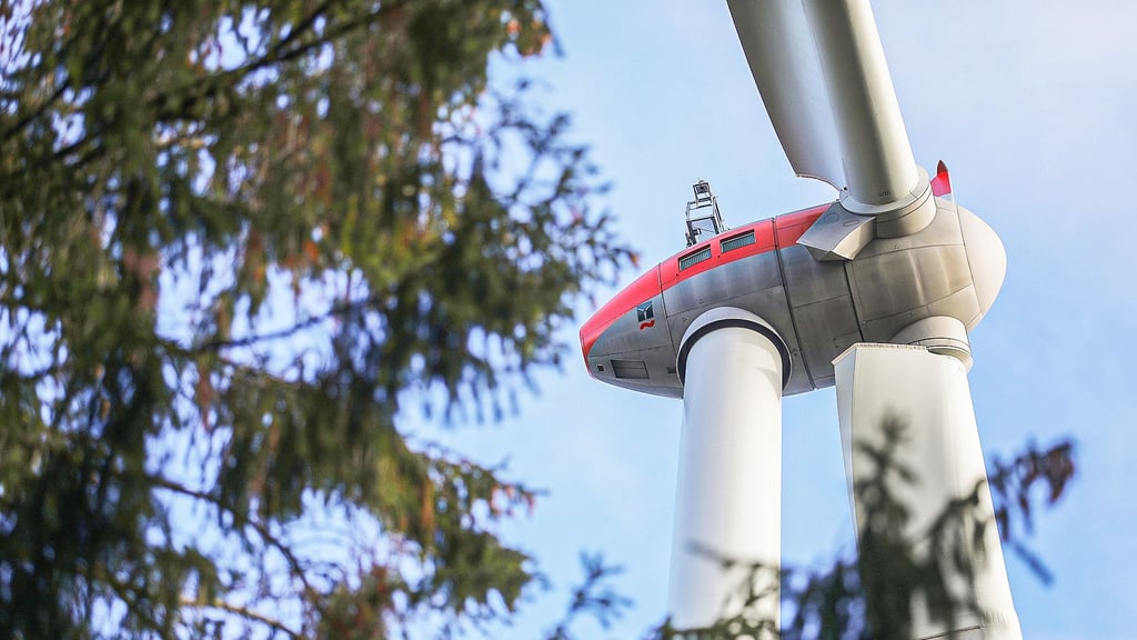 Kommt der Windpark im Stadtwald Seehausen (Altmark)? Dazu werden nun erst mal die Bürger befragt.