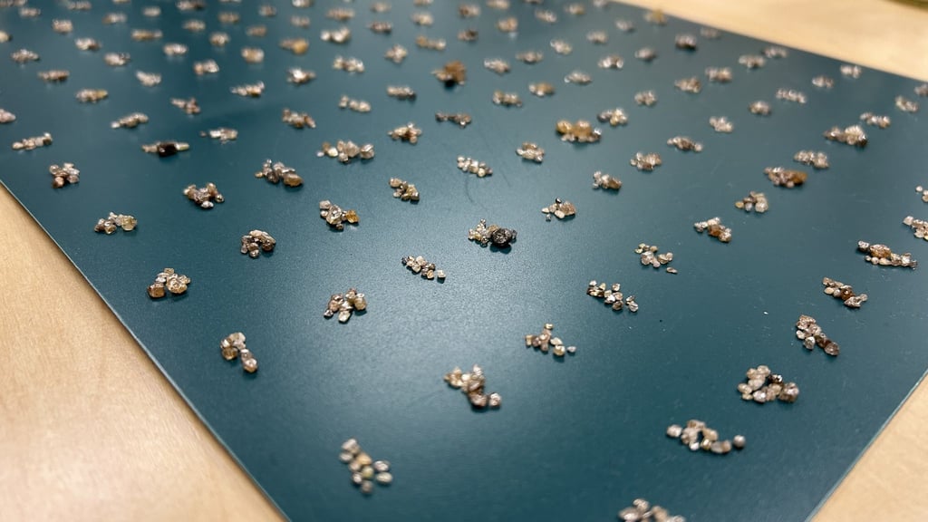 Die Rohdiamanten wurden bei der Einreise entdeckt. (Handout)