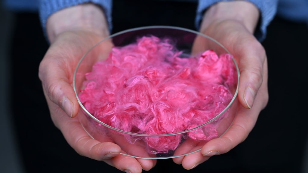 Gefärbte Lyohemp-Fasern werden präsentiert während der Einweihung des „Demonstration and Innovation Center for Textile Circular Economy“ (DICE), einem Thüringer Innovationszentrum mit Schwerpunkt textile Kreislaufwirtschaft.