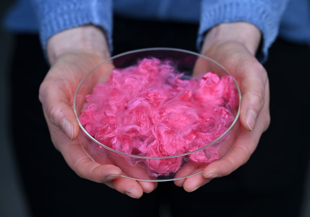 Gefärbte Lyohemp-Fasern werden präsentiert während der Einweihung des „Demonstration and Innovation Center for Textile Circular Economy“ (DICE), einem Thüringer Innovationszentrum mit Schwerpunkt textile Kreislaufwirtschaft.