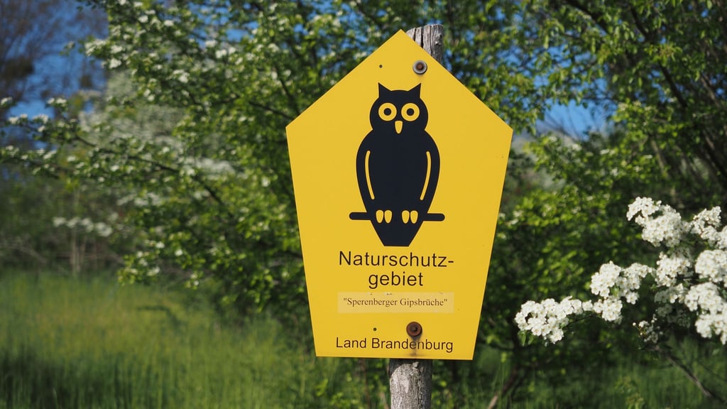 Von Naturschutzpionieren aus Bad Freienwalde entwickelt: Die bekannte Naturschutz-Eule.