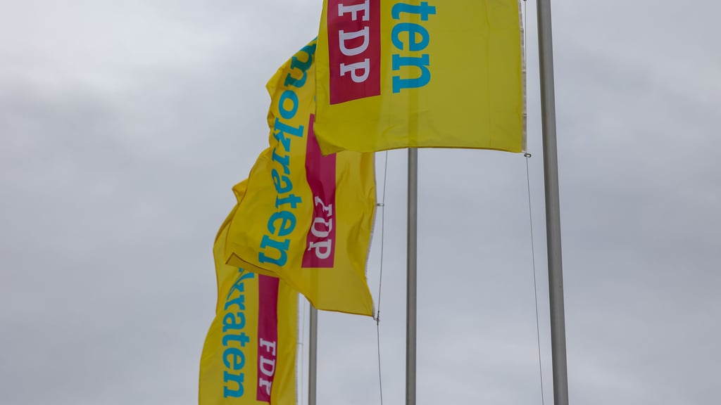 Als Rechtsstaatspartei dürfe die FDP einem verfassungswidrigen Vorhaben nicht zustimmen, verlangt der Liberale Mittelstand.