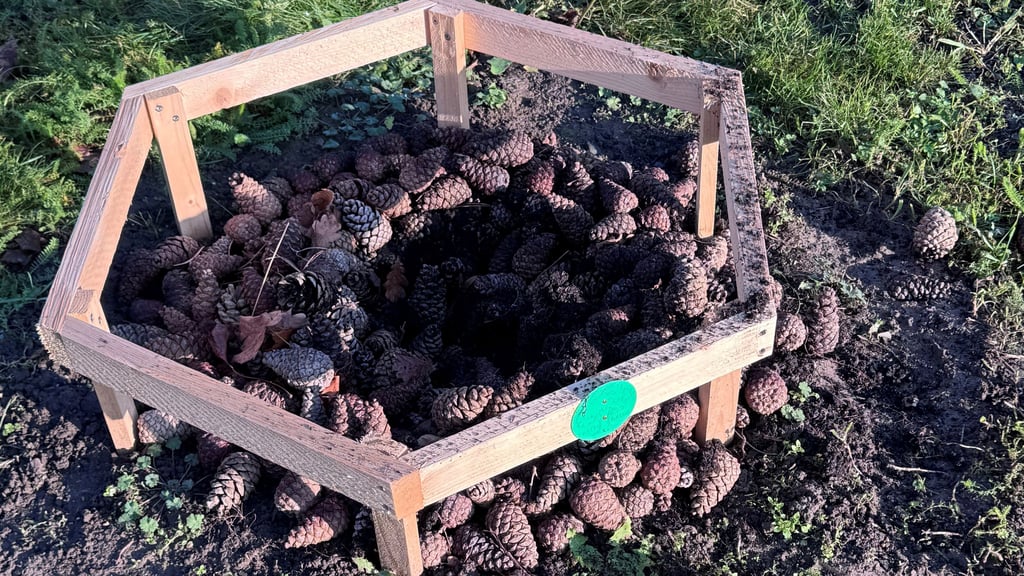 Der Baum, der den Osten Deutschlands in dem lebendigen Einheitsdenkmal in Halberstadts Zentrum symbolisierte, ist gestohlen worden. 