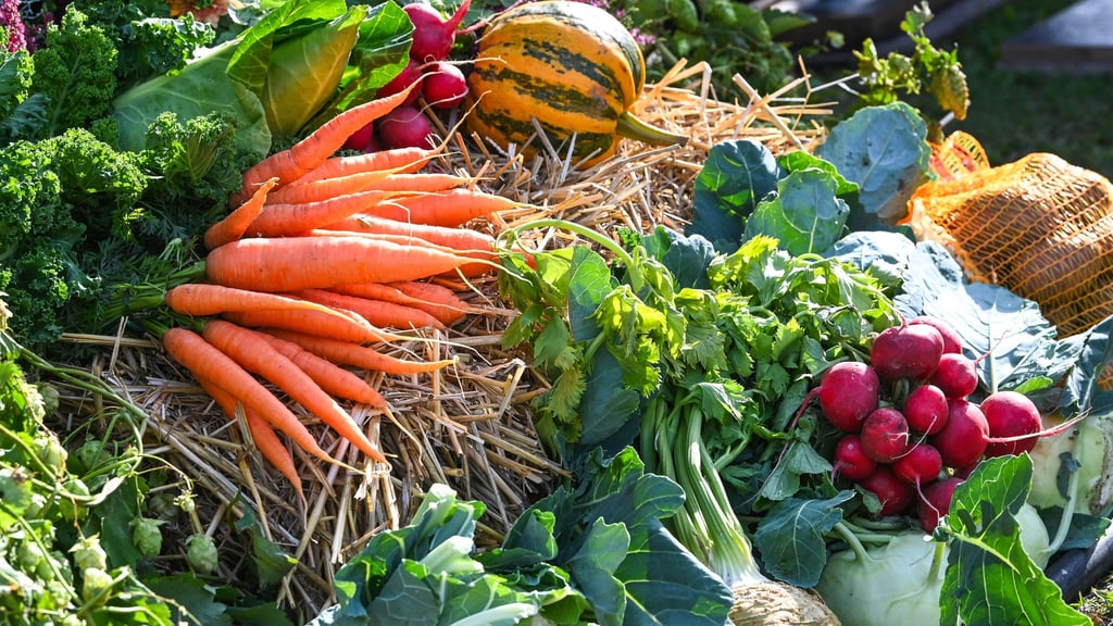 Ein neues Förderprogramm soll Thüringer Landwirten helfen, ihre Produkte etwa auf Messen besser zu bewerben. (Symbolbild)