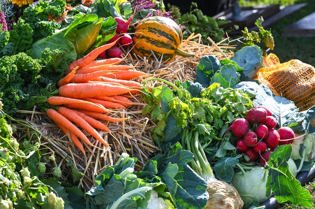 Ein neues Förderprogramm soll Thüringer Landwirten helfen, ihre Produkte etwa auf Messen besser zu bewerben. (Symbolbild)