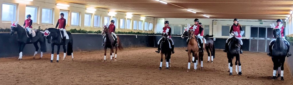 Ein abwechslungsreiches Programm wurde den Zuschauern beim Weihnachtsreiten des Reitvereins Fürst Bismarck in Schönhausen geboten.