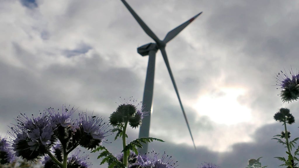 Eines von Dutzenden Windrädern auf der Querfurter Platte.